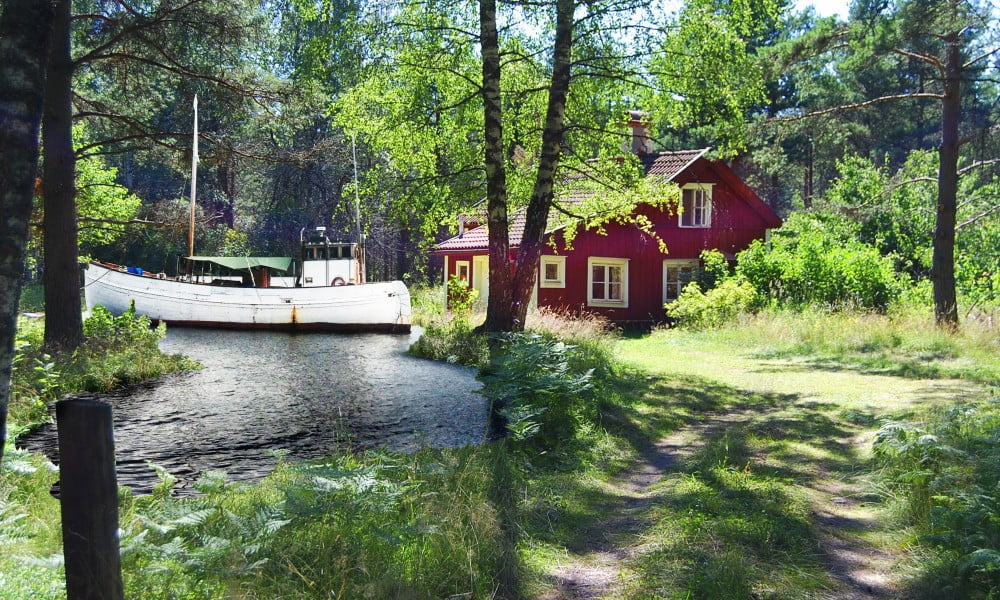 The Pond
